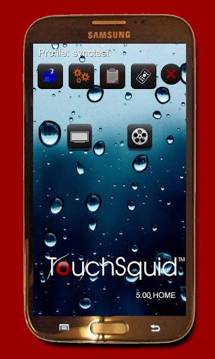 Touchsquid GR Home Remote