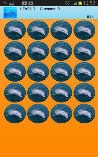 Dolphins Memory Game