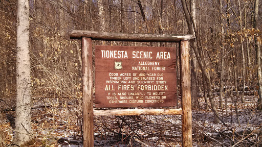 Tionesta Scenic Area-Allegheny National Forest