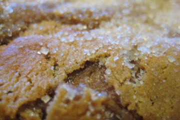Giant Ginger Cookies
