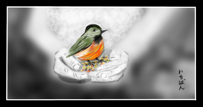 Little Bird