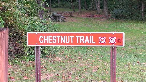 Athens Strouds Run Chestnut Trail