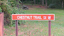 Athens Strouds Run Chestnut Trail