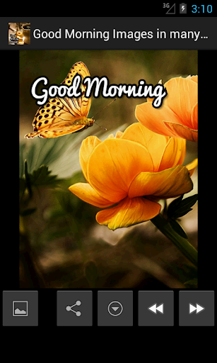 免費下載生活APP|Good Morning Images Multilang. app開箱文|APP開箱王