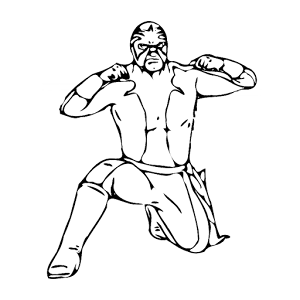 Wrestling iNews.apk 1.06