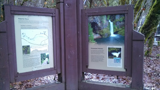 Toketee Falls Trail Head   