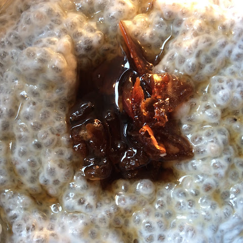 Chia Seed Pudding with Dates