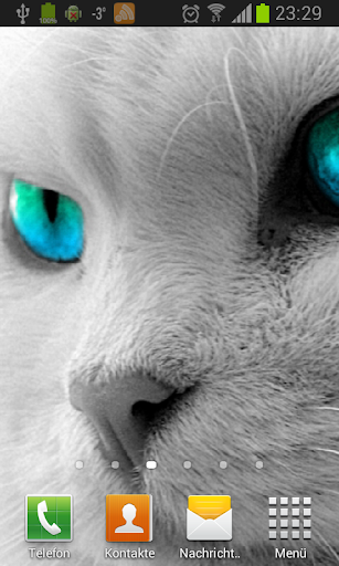 White Cats Live Wallpaper