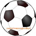 Sunderland FC Ad Free logo