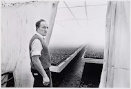 Rozenkwekerij, klimaatbeheersing