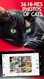 How to mod Jigsaw Puzzles Cats lastet apk for laptop