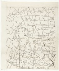 Kaart van Delfland (blad midden rechts)