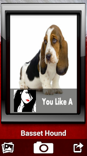 Download YouLikeA APK for Android