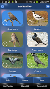 Bird Song Id: Auto Recognition Screen 3