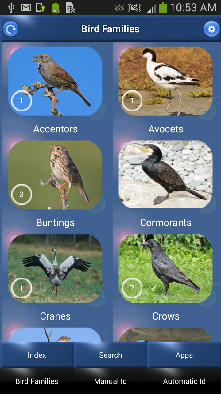 Bird Song Id: Auto Recognition Screen 3