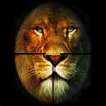 Jungle Lion Hunting 2015 Apk