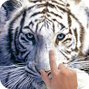 White Tiger Real Water Touch mobile app icon