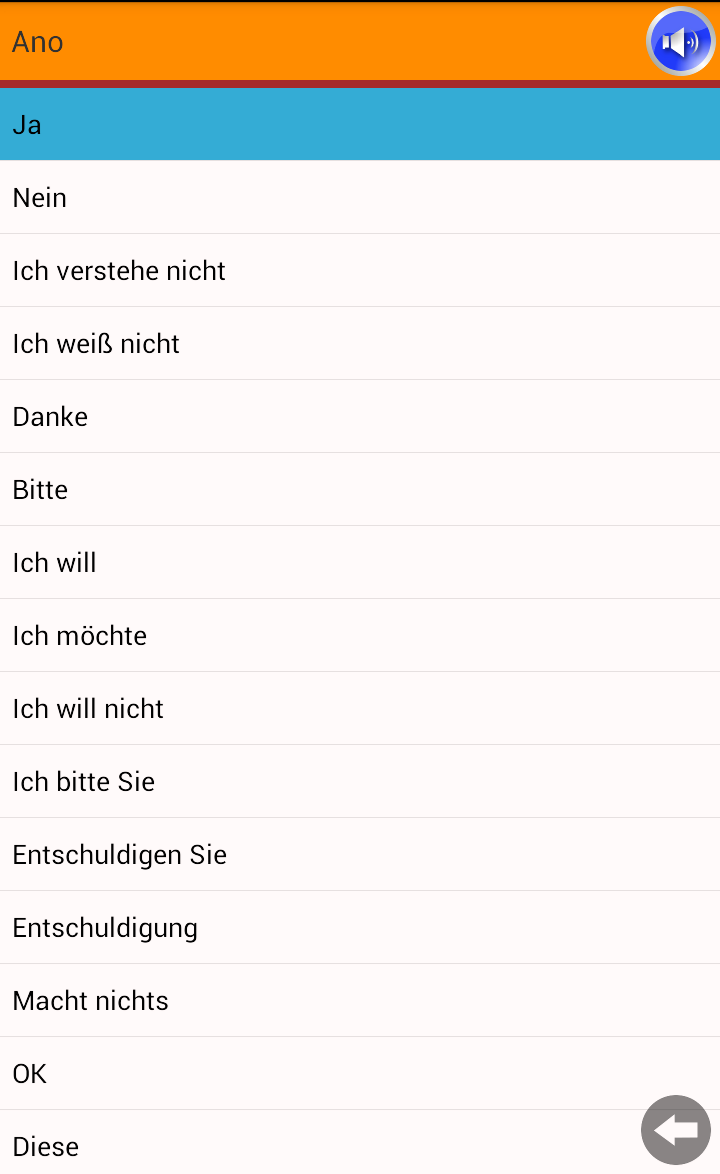 Tschechisch Reise Wörterbuch V Screen 2