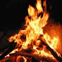 Wood Burning In A Fire logo