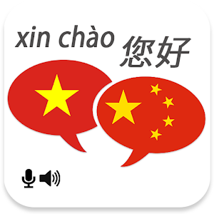 Vietnamese interpreter app