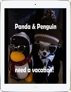 Free Panda & Penguin need vacation APK for PC