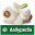 Garlic Daily Download on Windows