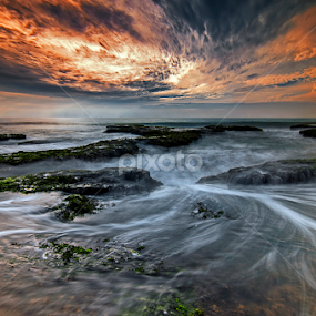 Evening Motion by Aditya Permana - Landscapes Waterscapes