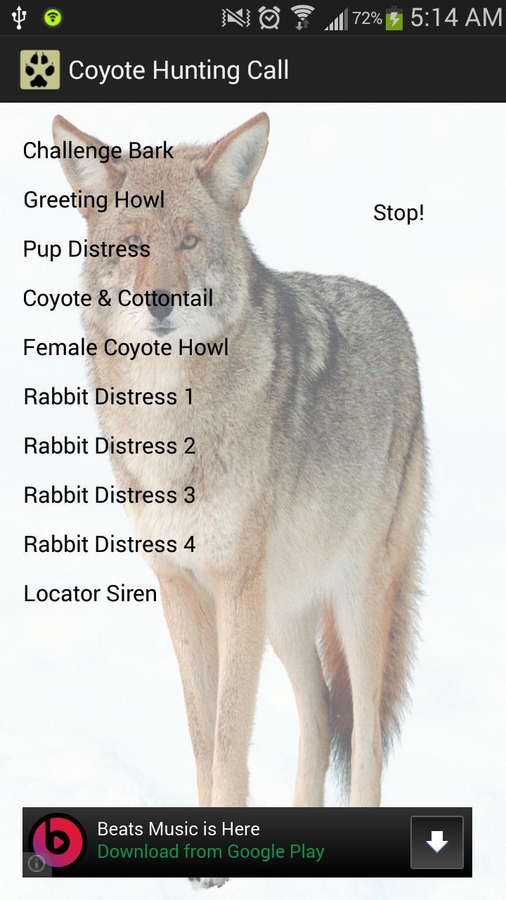 Coyote Hunting Call Screen 3