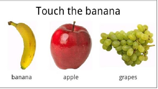 LearnFruit