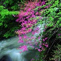 3D lovely Waterfall 7 logo