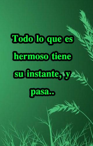 frases de belleza