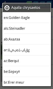 World Birds Demo Screenshots 5