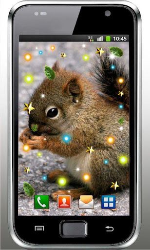 Squirrel Forest live wallpaper