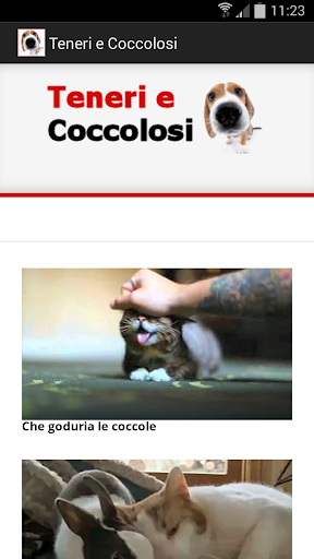 Teneri e Coccolosi