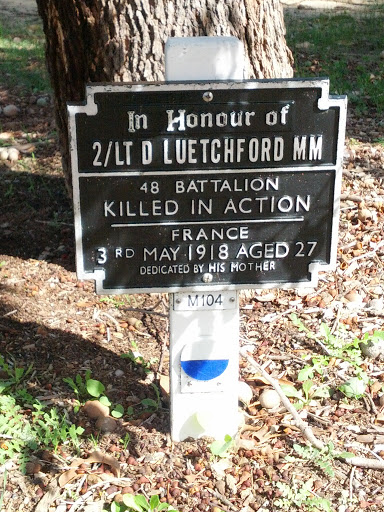 2nd Lieutenant D Luetchford MM
