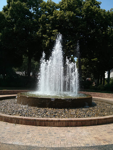 Fontaine Du Haras