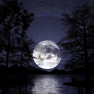 How to download MOON Wallpapers v1 1.1 apk for bluestacks