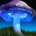 Hallucinogenic Blue Mushroom logo