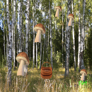Lastest mushrooms and busket APK