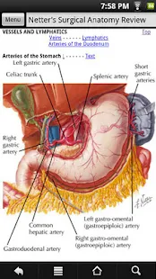 免費下載醫療APP|Netter's Surgical Anatomy Revi app開箱文|APP開箱王