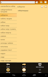 Kazakh Kyrgyz Dictionary poster 11