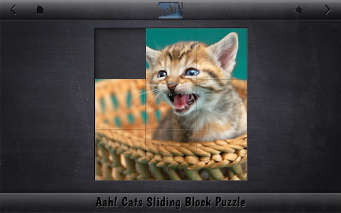 Download Aah! Cats Sliding Block Puzzle APK on PC ...
