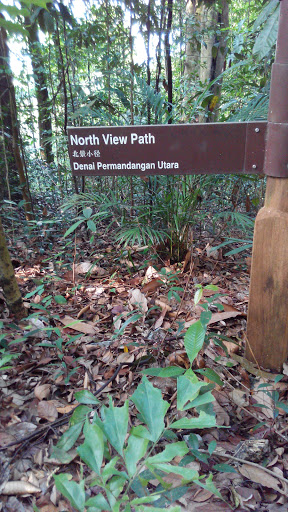 North View Path