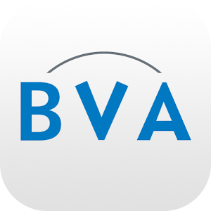 BVA Auctions Online veilingen