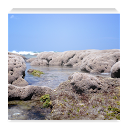 Space Coast Reef Wallpapers mobile app icon