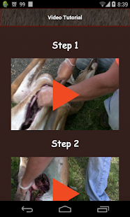 Deer Dummy - Field Dressing Screenshots 2