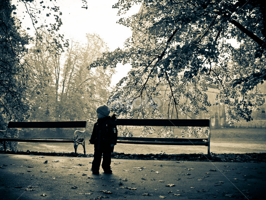 by Goran Lee - City,  Street & Park City Parks