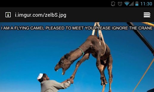 How to download Funny Pictures 1.0 apk for laptop