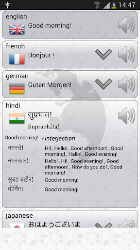 Q Multi Language Translator