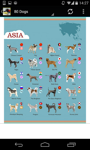 【免費生活App】80 Dogs Around The World-APP點子